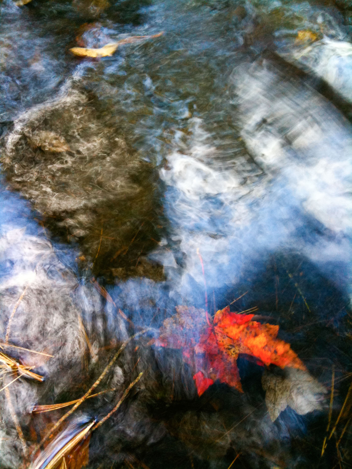 Photo of water reflections with fall leaves