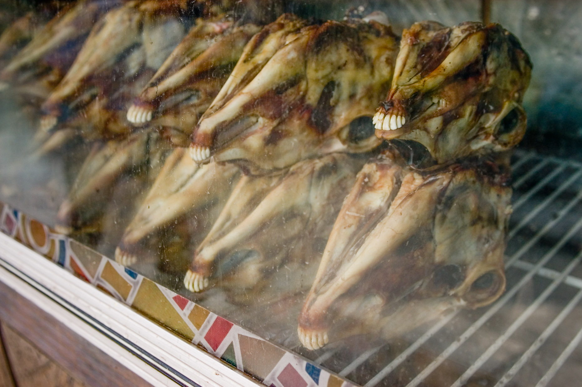 Image of barbequed sheeps heads in display case, Istanbul Turkey.