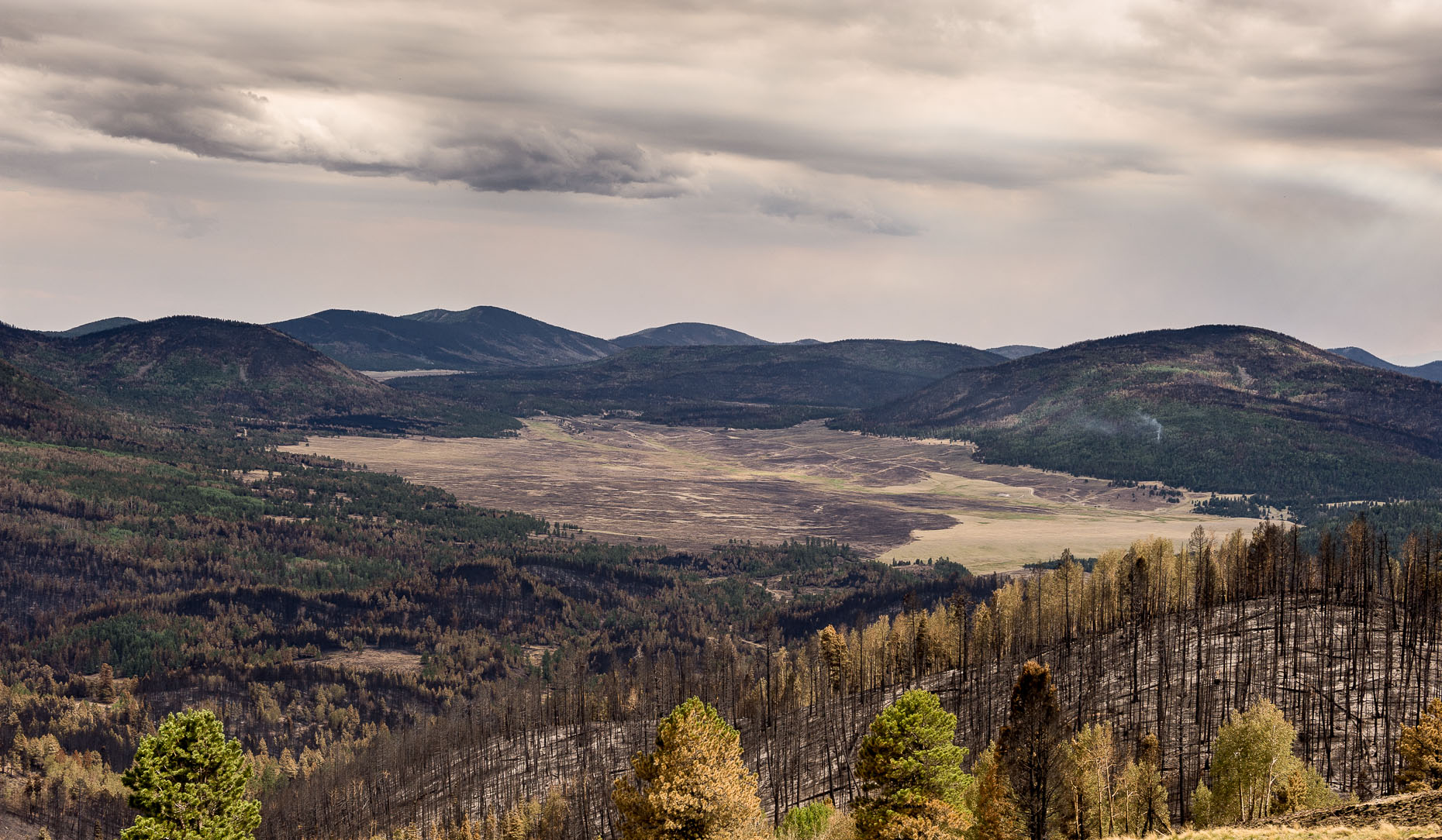 Las Conchas wildfire, New Mexico.  2