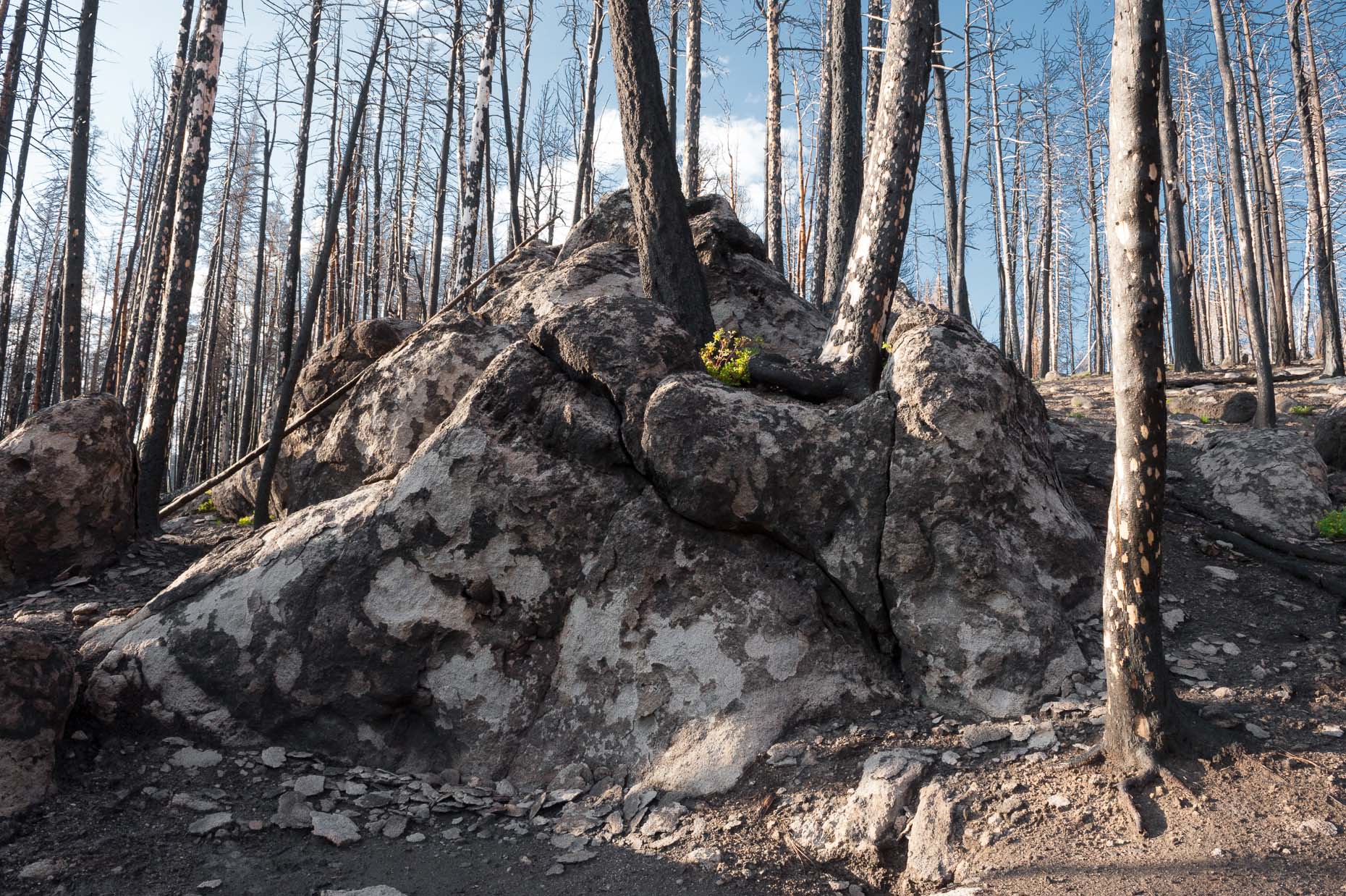 Las Conchas wildfire, New Mexico.  26